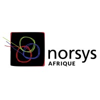 Norsys-logo.jpg